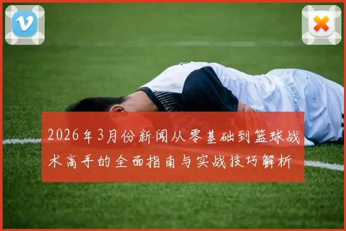 2026年3月份新闻从零基础到篮球战术高手的全面指南与实战技巧解析